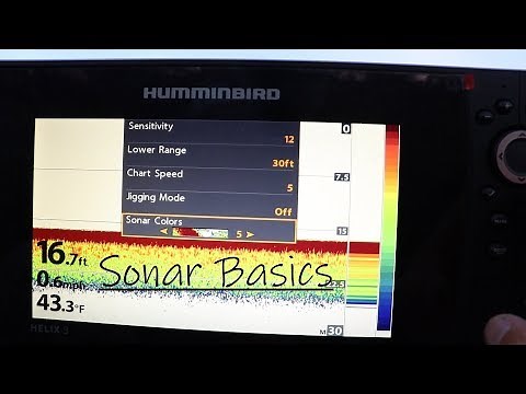 Complete Guide to Fishing Electronics (How to Read Fish Finder)