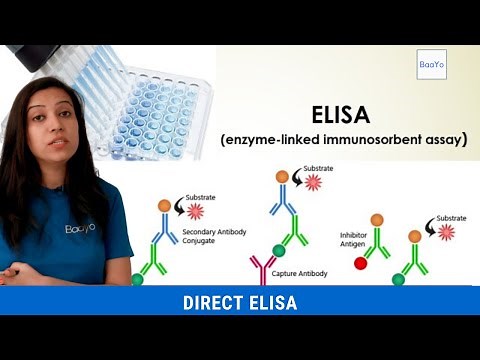Direct ELISA | Basics Explained