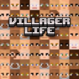 Villager Life