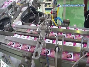 Carton Box Packaging Machine - Case Packer - Packaging Machine Automation