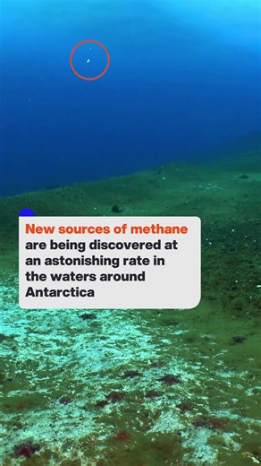 New sources of methane are being discovered at an astonishing rate in the waters around Antarctica 🧊. An Earth Sciences NZ team have been using remotely operated vehicles and divers under the ice to search for new seeps, sampling sites ranging from approximately five to 240 meters deep🌊. As methane is a greenhouse gas, our scientists are investigating how these sources may be connected to our warming climate🌧️. Once considered rare, these seeps are now being recognised as a potentially widesp