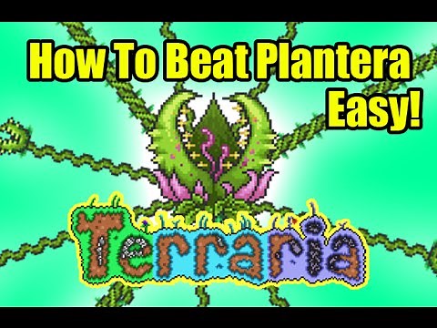 Terraria How To Beat Plantera Easily | Defeat Plantera Easy