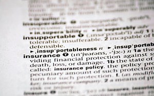 Photographers' Liability Insurance and a $300,000 Ancient Figurine