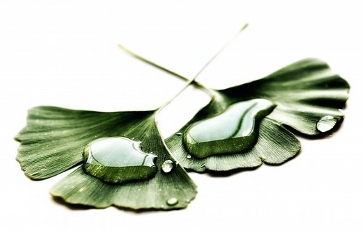 How turning biomass waste into sustainable fuels can help restore the carbon balance #WEF24