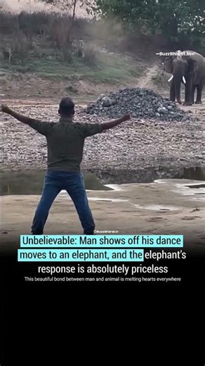 The Dance Across the River: Elephant and Man’s Monsoon Bond❤️