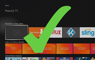 How to Fix Missing App Icons on Firestick/Fire TV (3 Methods)