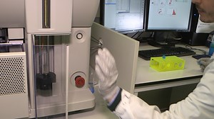 Video: Cell Cycle Analysis: Assessing CD4 and CD8 T Cell Proliferation