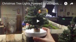 Microbial Fuel Cells