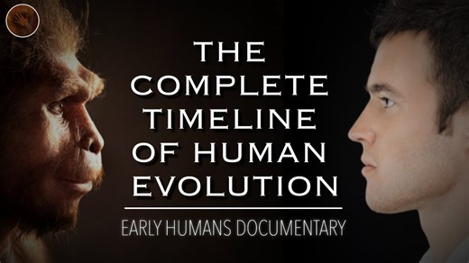 From Apes to Us: The Untold Evolution Story!