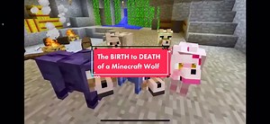 El NACIMIENTO y MUERTE de un Lobo de Minecraft