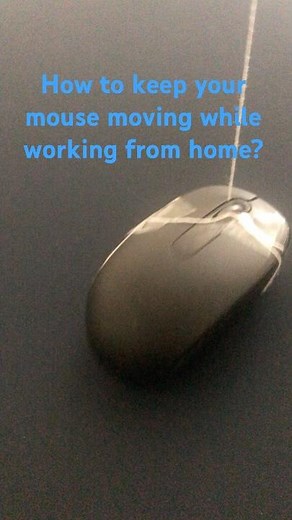 How to keep your mouse moving while working from home.