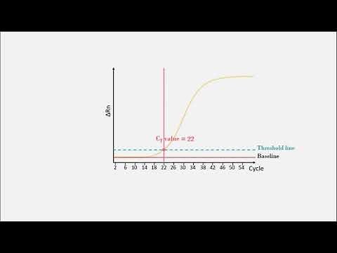 Real-time polymerase chain reaction (real-time PCR) qPCR - PPT Animation