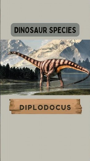 Meet the Magnificent Diplodocus: A Jurassic Giant! #kidzncrew #dinosaurs