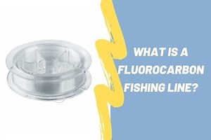 What Is A Fluorocarbon Fishing Line? And Why You Should Use It! - Begin To Fish