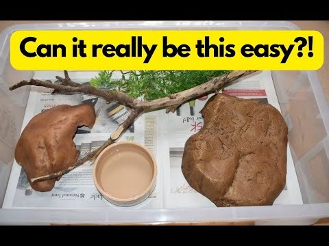 Ball Python tubs. Do they like them? And how to set one up…