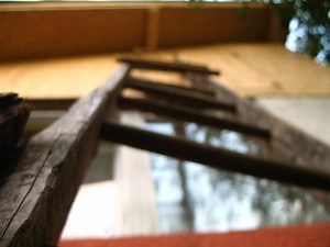 What Will Moth Balls Kill in Your Attic? | Homesteady