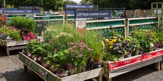 Full list of all the Dobbies garden centres that closed across the UK in 2025