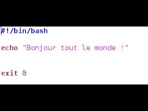 Programmation shell : Comment créer votre premier script shell