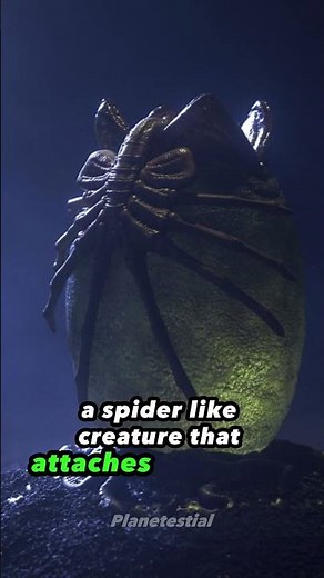 Xenomorph: The Terrifying Extraterrestrial Predator #xenomorph #avp #predator #alien