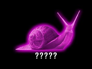 15 Snail "Slithering" Sound Variations in 45 Seconds | MODIFY EVERYTHING