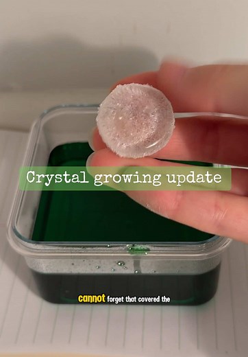 Crystal Growing Update - How Crystals Grow Explained