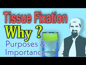 Purpose of Tissue fixation| Urdu-Hindi| E-Learn With Zakir