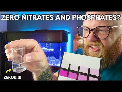 Why Your New Reef Tank Has ZERO Nitrates & Phosphates what to do if anything!
