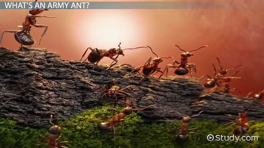 You must c C reate an account to continue watching