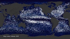 185 shares · 11 comments | Garbage patches and gyres The Earth’s...
