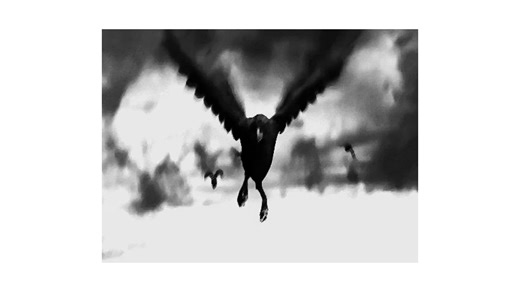 crows sound effect #sound #sounds #crows #crowsound #soundsfx #soundfx #soundeffect #soundeffects #soundfx #soundsfx #soundeffects