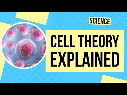 Cell Theory Explained | Science Lesson