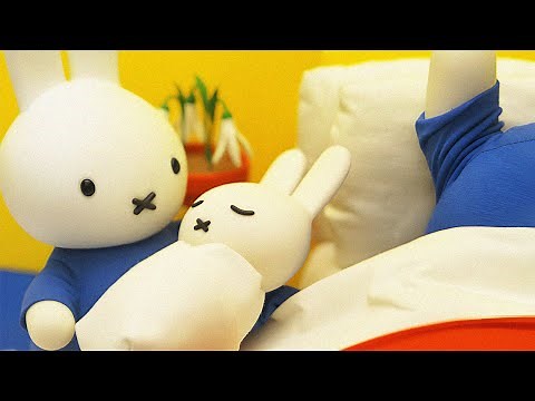 新生児 | ミッフィー・スペシャル | 子供向けアニメシリーズ