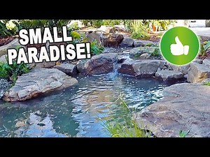 Creating a PARADISE *POND* in your backyard - REVEAL