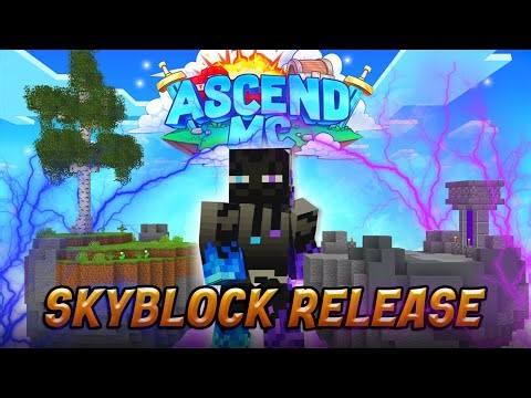 The BEST Minecraft Skyblock Server of 2025!