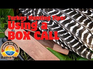 Turkey Hunting Tips: Using a Box Call