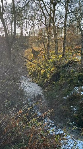 The Mill of Benholm with the ancient woodland Mill Brae Woods and the Burn of Benholm on a beautiful November morning #millofbenholm #visitabdn #aberdeenshire #visitscotland #heritagemill #coastalmearns #caféatthemill #visitaberdeenshire #johnshaven #Stonehaven #montrose #visitangus #watermill #ancientwoodland #scotland | Mill of Benholm Enterprise