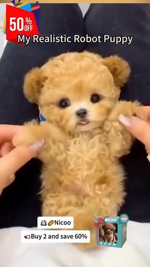 🐶 NICCO – The Ultra-Realistic Robotic Puppy Plush 🐾 Not Just a Toy… A True Companion! NICCO is the lifelike robotic puppy that looks, feels, and acts just like the real thing. ✨ Key Features: ✔ Acts like a real puppy – walks, sits, barks, and plays ✔ Handcrafted details – nose, eyes, claws & paws sculpted by hand ✔ Eco-friendly build – recyclable skeleton & safe materials ✔ Natural lifelike finish – hand-dyed for realism ✔ One-of-a-kind – each NICCO is 100% handmade 👉 Adopt NICCO today – the 