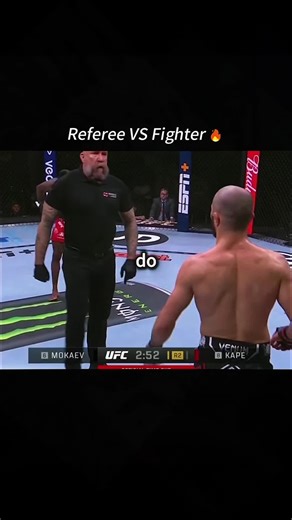 Referee VS Fighter #referee #ufc #mma #froyoupage #tiktok | ufc refs fighting back