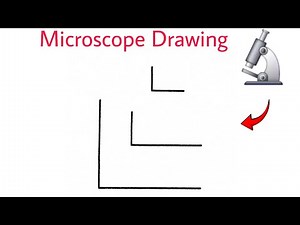How to draw microscope | microscope drawing | microscope diagram | compound microscope drawing