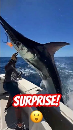 He Thought It Was Just a Fish… BIG MISTAKE!