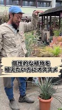 【超かっこいい！】ロックガーデン好きは絶対見て！最高にオシャレな空間を演出してくれます！