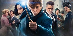 975K views · 13K reactions | Fantastic Beasts 2 script is complete. — https://goo.gl/3QomMU | MovieWeb | Facebook