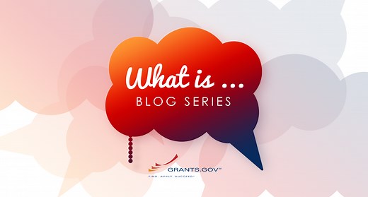 What is the Unique Entity Identifier (UEI)?