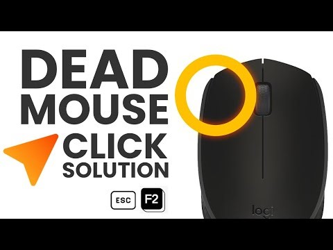 Mouse Left/Right Click Button Dead Fix: Complete Solution ✅