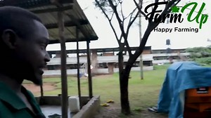 Building a Chicken Farm: Plans and Challenges