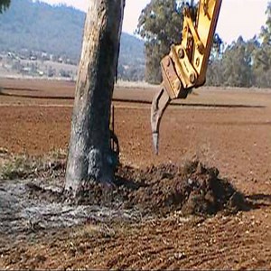 234K views · 469 reactions | Excavator Removing Gum Tree Cr: Magical Nature | Magical Nature | Facebook