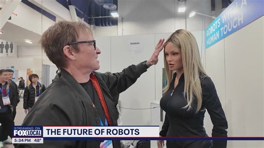 The future of human-robot relationships
