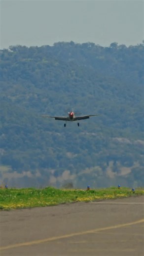 Pay’s P-40 landing 😍. #warbird #warbirds #pilot #ww2planes #p40 #kittyhawk #v12 #fighterplane | Pays Aviation
