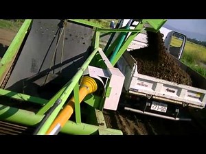 ストーンピッカー.mp4