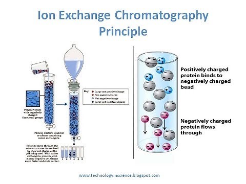 Ion Exchange Chromatography - Theory and Principle
